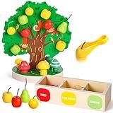 Woodtoe Toddler Fine Motor Skill Toys - Apple Picking Magnetic Fruit Tree Toy | Montessori Wooden Color & Shape Sorting Puzzle | Early Learning Preschool Educational Birthday Toy for Kids 3-6