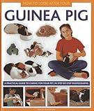 How To Look After Your Guinea Pig: A practical guide to caring for your pet, in step-by-step photographs