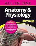 Anatomy & Physiology All-in-One For Dummies (+ Chapter Quizzes Online)