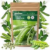 PLANTMEW Sugar Snap Pea Seeds for Planting - Heirloom, Non-GMO, Open Pollinated - Sweet & Crunchy Edible Pods for Fresh Eating - Easy Grow Vertical Vine for Containers, Trellis & Home Garden