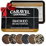 Smoked Sea Salt Sampler Set, Alderwood, Cherrywood, Bacon and Garlic Smoked Salts, Gourmet Cooking Gift, 0.5 oz x Bundle of 6 Flavored Salts - Caravel Gourmet Salt