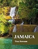 JAMAICA TRAVEL GUIDE 2024 EDITION (TINA'S TOUR GUIDE)