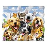 Dawhud Direct 50x60-Inch Backyard Pals Dogs and Cats Blanket - Soft Plush Animal Print Blanket for Adults and Kids - Soft and Cozy for Bed, Couch, or Travel - Thoughtful Gift for Animal Lovers