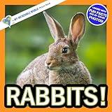 Rabbits!: A My Incredible World Picture Book for Children (My Incredible World: Nature and Animal Picture Books for Children)