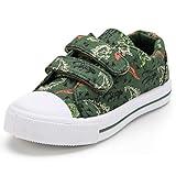 K KomForme Toddler Boys & Girls Shoes Kids Canvas Sneakers with Cartoon Dual Hook and Loops, Size 12 Little Kid, Dinosaur