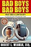Bad Boys, Bad Boys: What Does A Lawyer Do?!: Plus Interesting Stories Curious Minds Want To Know
