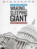 Waking the Sleeping Giant: The Making of a Political Revolution