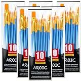 60 Pcs Acrylic Paint Brush Set, Oil & Watercolor - Professional Artist Brushes with Wooden Handle Nylon Hair Brushes - Bulk Art Supplies for Adults, Kids & Beginners