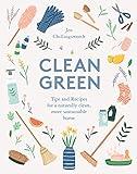 Clean Green: Tips and Recipes for a Naturally Clean, More Sustainable Home