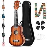 AODSK Concert Sunburst Ukulele for Beginner 23 Inch Uke with Gig Bag Strap Nylon String 4 Picks Holiday Gift