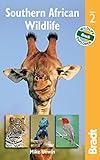 Southern African Wildlife (Bradt Travel Guides (Wildlife Guides))
