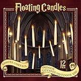 ORIENTAL CHERRY Halloween Decorations - Floating LED Candles with Remote Control -12Pcs Magic Witch Wizard Christmas Decor for Indoor Home Room Classroom Bedroom Birthday Party (with Common Remote)