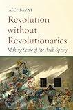 Revolution without Revolutionaries: Making Sense of the Arab Spring (Stanford Studies in Middle Eastern and Islamic Societies and Cultures)