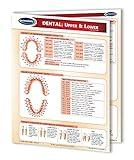 Dental: Upper & Lower Chart- Medical Quick Reference Guide by Permacharts