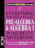 Everything You Need to Ace Pre-Algebra and Algebra 1 in One Big Fat Notebook (Big Fat Notebooks)