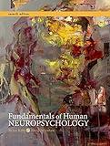 Fundamentals of Human Neuropsychology