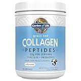 Garden of Life Grass Fed Collagen Peptides Powder – Unflavored Collagen Powder for Women Men Hair Skin Nails Joints, Hydrolyzed Collagen Protein Supplements, Post Workout, Paleo & Keto, 28 Servings