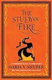 The Study of Fire (The Study Chronicles: Valek's Adventures)