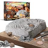 Discovery #MINDBLOWN Colossal Fossil Dig Set, 15-Piece Archeology Excavation Kit, Uncover Real Shark Teeth & More, Every Fossil Set is Unique, STEM Toys for Boys and Girls