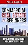 Commercial Real Estate for Beginners: The Basics of Commercial Real Estate Investing