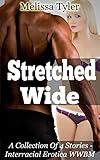 Stretched Wide: A Collection Of 4 Stories - Interracial Erotica Stories WWBM