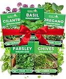 5 Herb Seeds Variety Kit, Oregano, Cilantro, Parsley, Basil, Chives