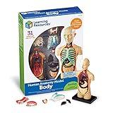 Learning Resources Human Body Model, 31 Pieces, Grades 3+, Ages 8+, Science Classroom Demonstration Tools, Realistic Human Anatomy Display