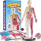 Dan&Darci Human Anatomy Squishy Body Model - Science Kits for Kids Ages 4-8 - STEM Toys for 4 5 6 7 8 Year Old Boy Birthday Gift - Learning Educational Toys for Ages 5-7 Boys Gifts - Skeleton Parts