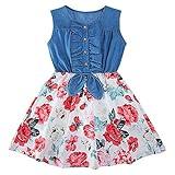 Girls Sleeveless Denim Floral Printed Princess Dress Splice Denim Swing Casual Sundress Holiday Skirts Summer Outfits Size 2/3T (Easter,Pink), Toddler