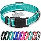 TECEUM Reflective Pet Collar – Teal – M – Basic Nylon Dog Collar – Quick Release Buckle – Fits Small, Medium and Large Dogs, Puppies, Cats – ESA & Service Dog Options