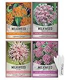 Gardeners Basics, Milkweed Seeds for Monarch Butterflies (4 Variety Pack) Common, Showy, Butterfly and Rose Varieties Attracts Butterflies, Bees and Pollinators Heirloom Flower Seeds Wildflower Seed