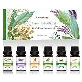 Essential Oils Set 6 x 10ml - Peppermint, Tea Tree, Lavender, Eucalyptus, Lemongrass, Orange - Aromatherapy Oils for Diffusers and Massage, Enhance Well-Being