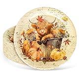 JarThenaAMCS 40Pcs Fall Paper Plates Highland Cow Pumpkin Disposable Plates 9 Inch Autumn Party Tableware for Thanksgiving Birthday Holiday Table Decor Supplies