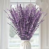 Dried Purple Lavender Flowers Bundle-Dried Preserved Lavender Bouquet 15-17" for Shower Weeding Home Vase Decor, Crafts, Aromatherapy, Fragrance, Fresh Silk Dry Live Plants, 50g(1.76oz)