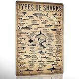 Ykfss Shark Room Decor Types Of Shark Poster Shark Knowledge Tin Sign Ocean Animal Posters Whale Shark Decor For Bedroom Science Wall Art Marine Biology Gifts For Shark Lovers 12x8 Inch