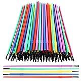 Prasacco 100 Piece Paint Brush Set, Plastic Kids' Art Brushes for Oil & Watercolor, Colorful Detail Painting Kit for Crafts & School