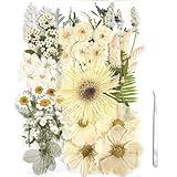 ZQmino A4 Large Dried Pressed Flowers for Resin Pressed Flowers Real Dry Natural Flowers Leaves for Resin Mold Cake Candle Making Phone Cases Scrapbooking DIY Art Crafts (White)