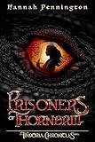 Prisoners of Thornbrill: a clean young adult portal epic fantasy adventure trilogy with siblings, magic, and dragons (The Tindoria Chronicles Book 1)