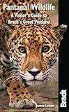 Pantanal Wildlife: A Visitor's Guide To Brazil's Great Wetland (Bradt Wildlife Guides)