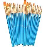 BOSOBO Paint Brushes Set, 2 Pack 20 Pcs Round-Pointed Tip Nylon Hair Artist Acrylic Paint Brushes for Acrylic Painting Oil Watercolor, Face Nail Art, Canvas, Miniature Detailing & Rock Painting, Blue