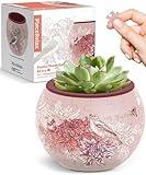 PieceRelax 3D Puzzle Planter - Singing Birds and Flowers - Small Round Plant Pots with Drainage, Home Decor Flower Pots for Indoor Cactus, Succulents Pots [K1100]