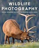 Wildlife Photography: Proven Techniques for Capturing Stunning Digital Images