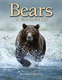 Bears: A Year in the Life