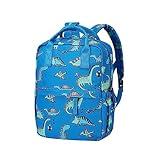 Cute Preschool Backpack Toddler School Book Bag for Girls Boys Kids Kindergarten Nursery Travel Bag with Chest Strap(15inch, Blue Dinosaur)