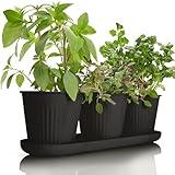 KIBAGA Beautiful Herb Garden Planter Indoor Set of 3 - Perfect for Any Kitchen Window Sill or Countertop - A Modern Decor Gardening Planter Kit Incl. Tray & Drainage Holes to Grow Fresh Herbs at Home