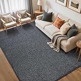 FinRèc 5x7 Washable Area Rugs for Bedroom Living Room, Low Pile Thin Rug Solid Color, Non-Slip Carpet Indoor for Home Decor (Grey)