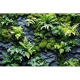 Rock Wall Reptile Habitat Background Greenery-Infused Room Vertical Moss Wall Terrarium Background Nature's Embrace Tropical Green Plants Fish Tank Background Moss Wall Aquarium Background 72x18in
