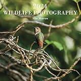 Wildlife Photography 2024