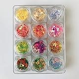 PrettyG 12 Colors Boxes Set - Musical Note Shape Glitter Sequins - Festival Rave Beauty Makeup Face Body Nail Art Decoration PG-12C
