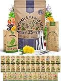 35 Medicinal & Tea Herb Seeds Variety Pack for Indoor & Outdoors. 16,335+ Non-GMO Heirloom Garden Seeds: Anise, Bergamot, Borage, Cilantro, Chamomile, Dandelion, Rosemary Seeds & More